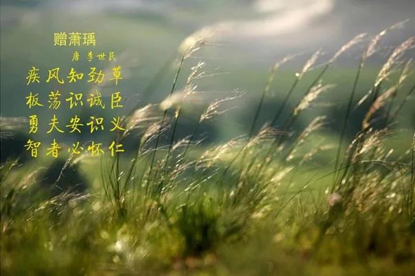 花花牛 | 疾風(fēng)來(lái)臨，你是不是勁草？
