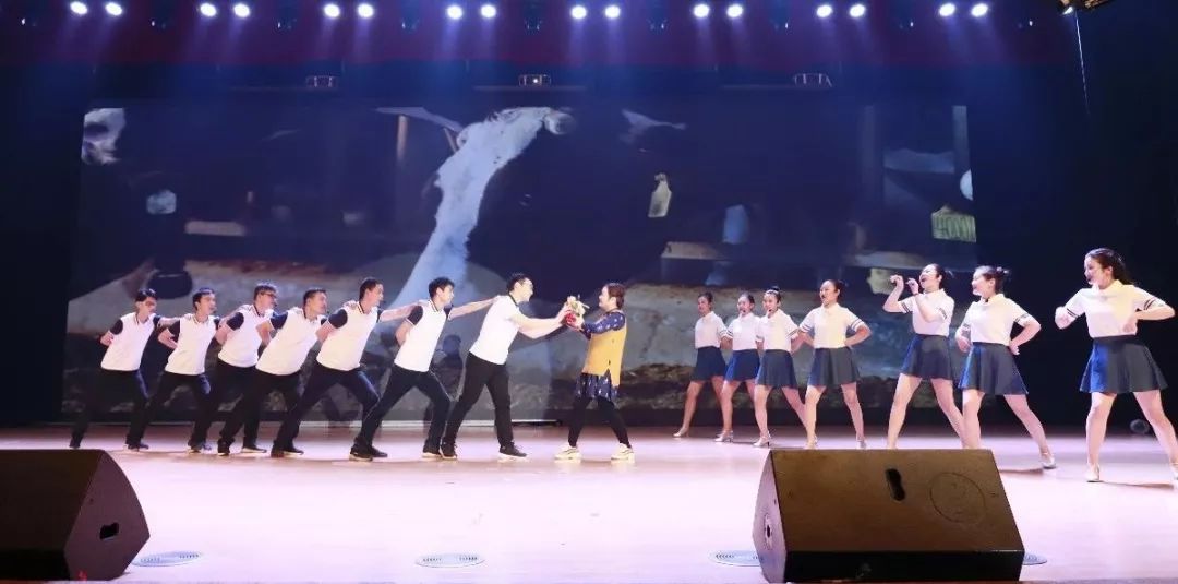 “贏在2019”，花花牛乳業集團2019年新春晚會盛大開幕