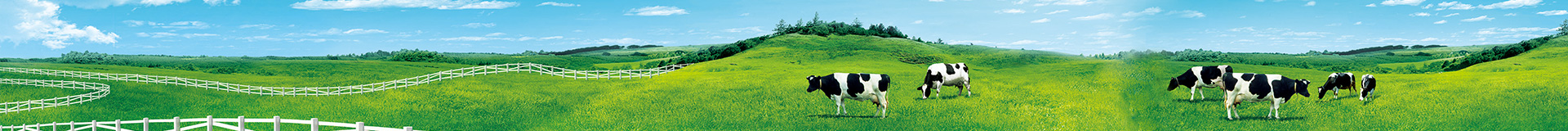 http://www.eastyi.cn/data/upload/202412/20241225200749_228.jpg